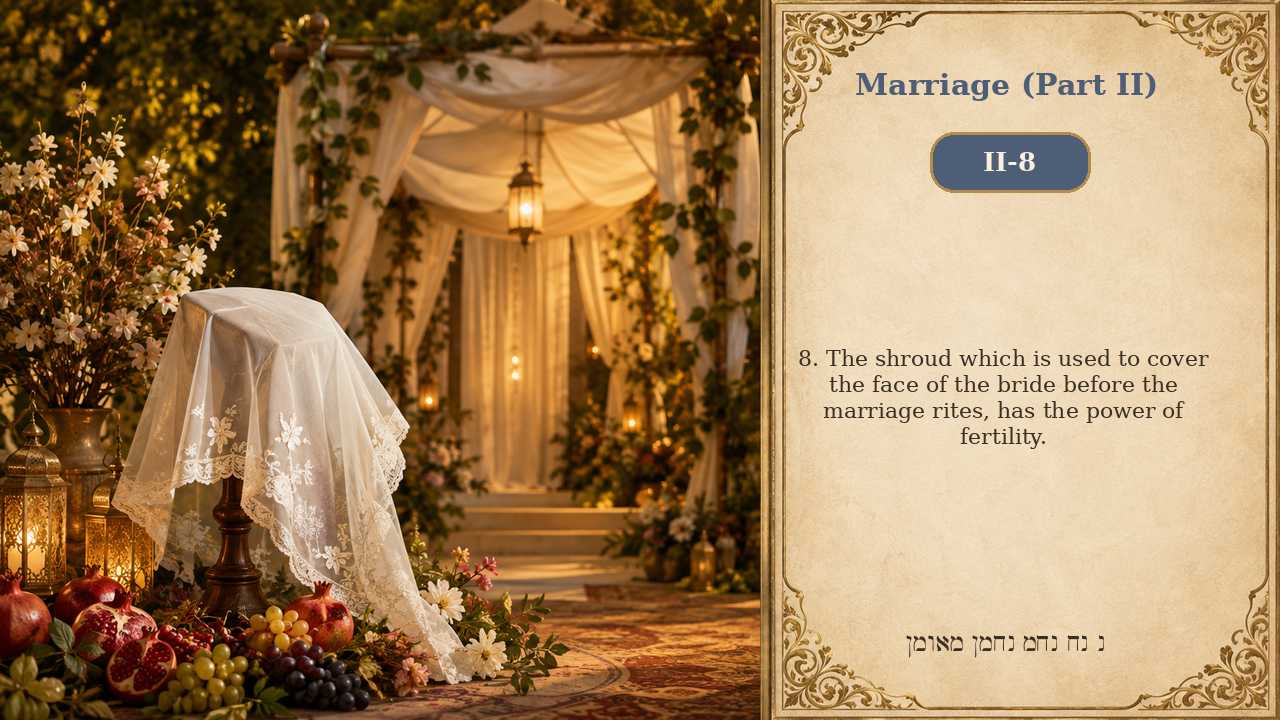 Sefer Hamidos Marriage (Part II) teaching 8 english picture