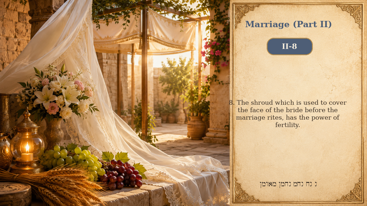 Sefer Hamidos Marriage (Part II) teaching 8 english picture